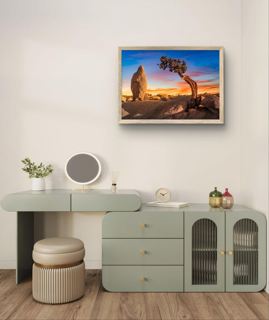 Joshua Tree National Park in California, USA Wall Art