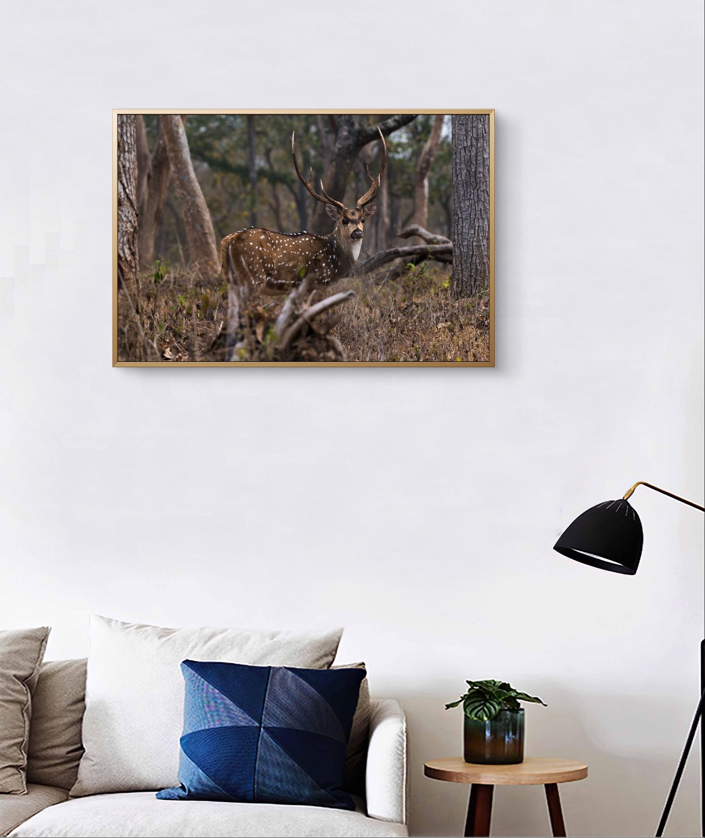 Chital in Mudumalai National Park India Wall Art