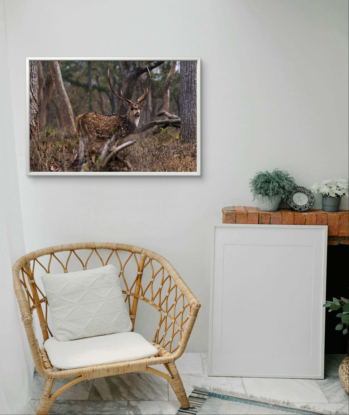 Chital in Mudumalai National Park India Wall Art