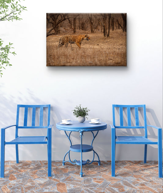 Walking Tiger Wildlife Wall Art