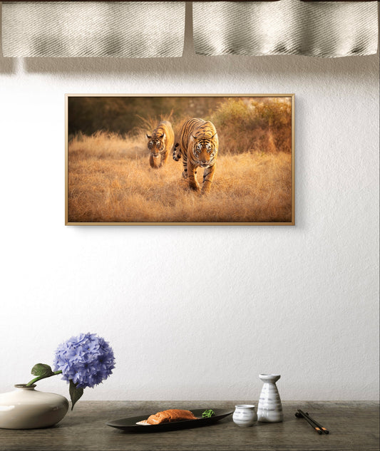 Indian Tigers Wildlife Wall Art