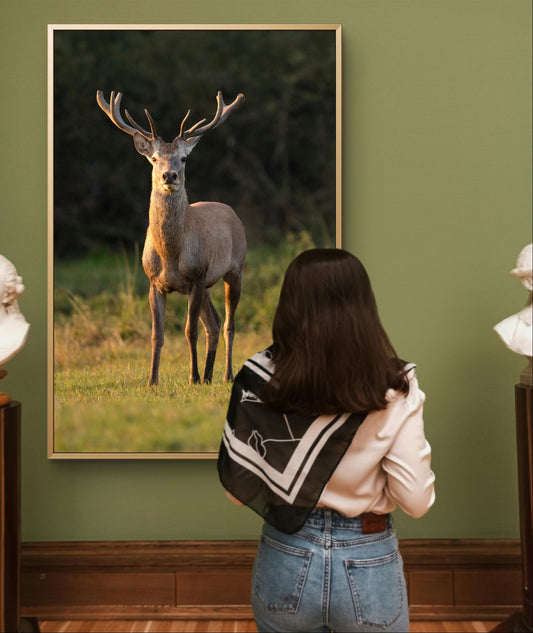 Red Deer Wildlife Wall Art