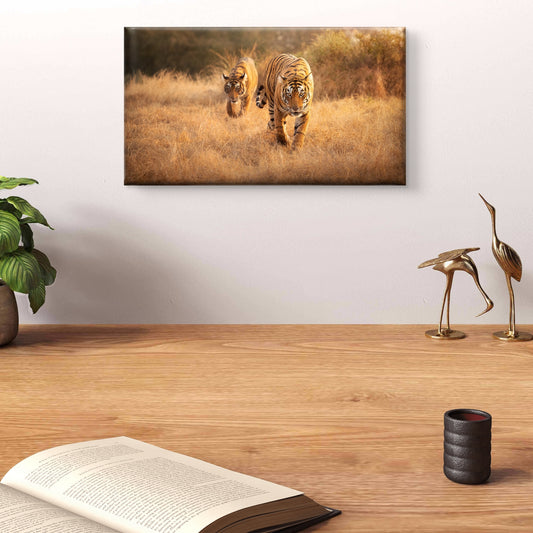 Indian Tigers Wildlife Wall Art
